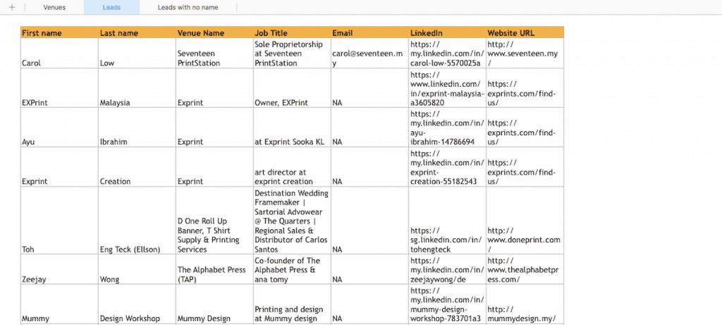 GoPinLeads Review: The Exported Results on Excel