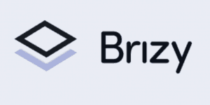 The brzyy logo on a white background.