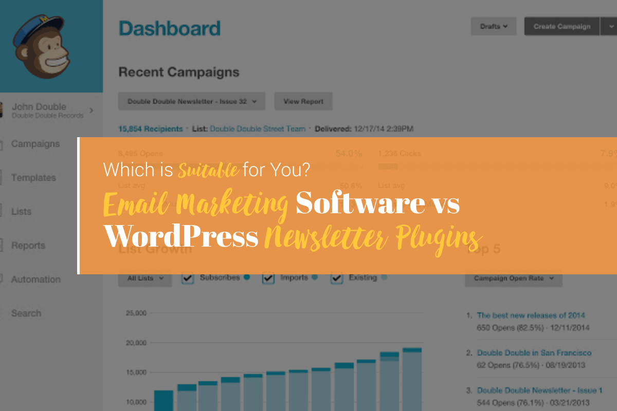 Email Marketing Software vs WordPress Newsletter Plugins