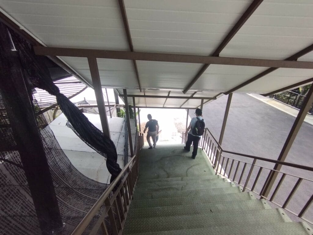 Two people descend a covered outdoor staircase with green steps, leading to a paved street on a cloudy day.